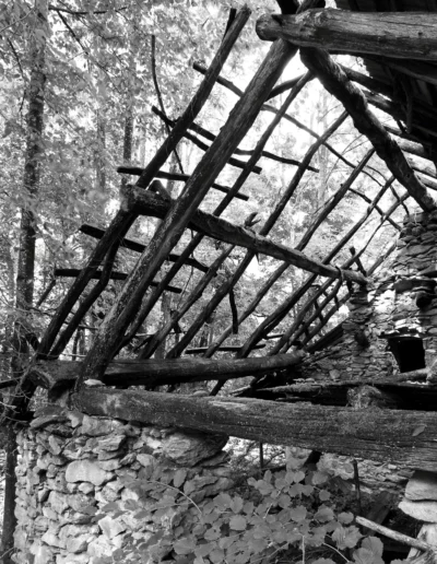 ruin in the forest photography